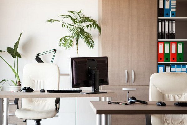 Arranging the workplace ergonomically: basic rules, tips and common mistakes