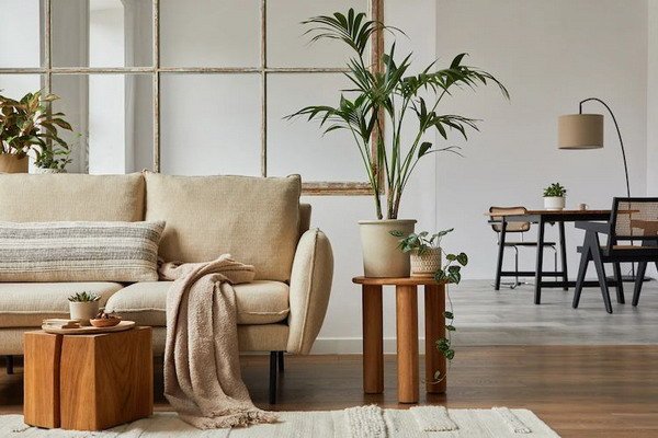 Interior Design Trends 2024