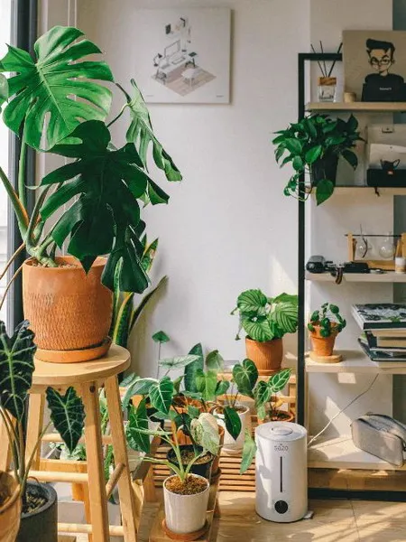 Interior Trends 2025